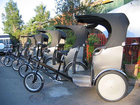 Cycles Maximus Trike